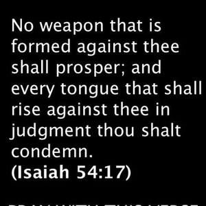 Meet your Posher, Vashon